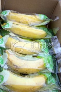 菲律宾香蕉banana