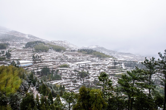 头场雪