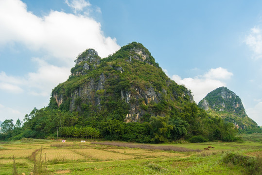 乡村 田野 山