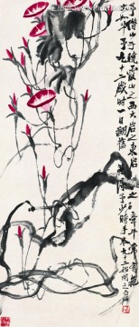 牽牛花