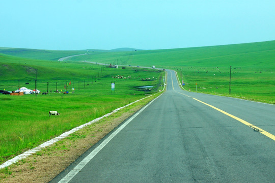 草原上的公路