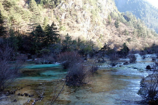 盆景滩 九寨沟