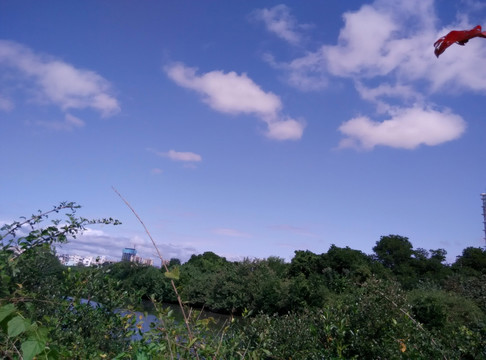 风景