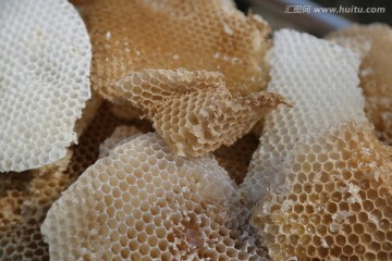 蜂巢 蜂产品