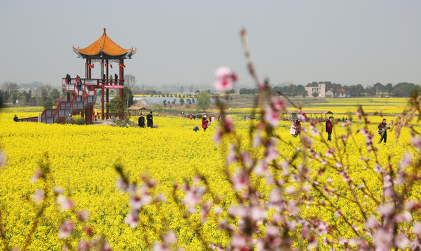 花海 旅游