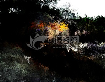 創(chuàng)意水彩畫