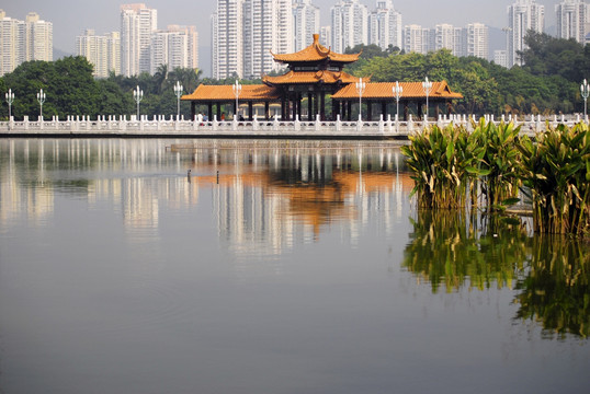 深圳荔枝公園 荔湖迎風(fēng)皎月亭