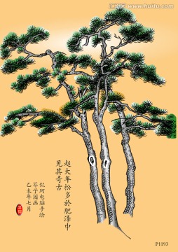 趙大年松