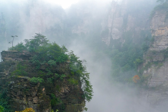 云雾风景