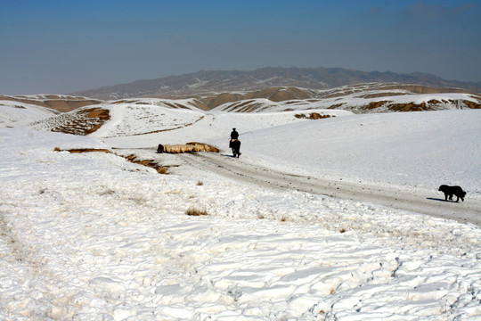 牧民雪地放牧