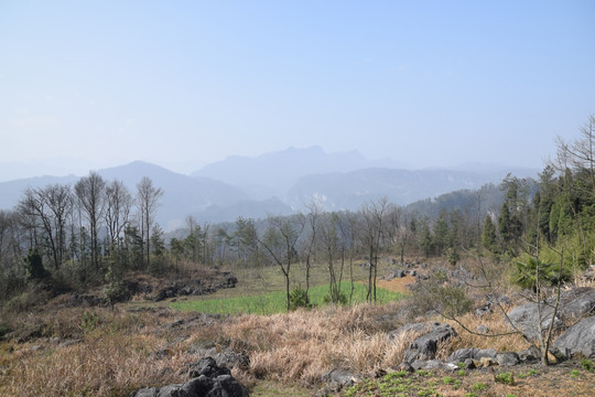 长阳 布旗山 大山