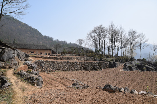 长阳 布旗山 大山