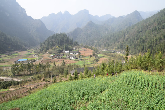 长阳 布旗山 大山