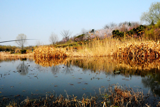 南京钟山风景名胜区