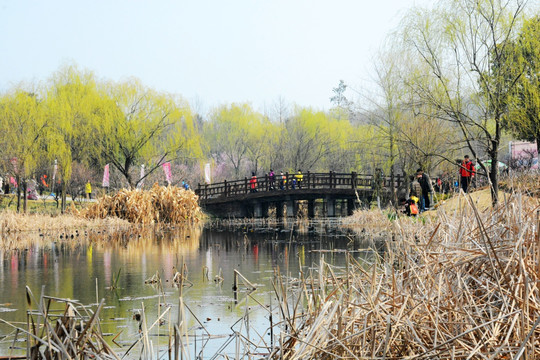 南京钟山风景区