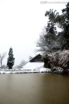 雪景