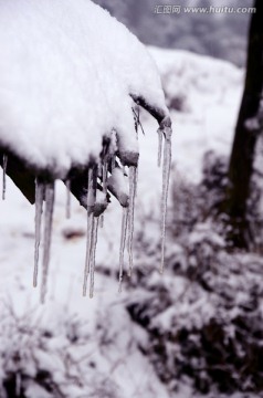 雪景