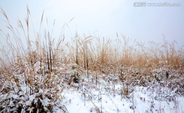 雪景