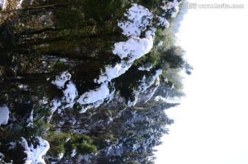 雪景