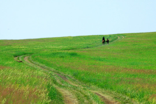 草原上弯曲的路和骑马的人