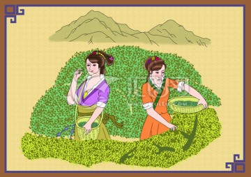 采茶 插畫(huà) 茶園