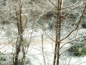 雪景