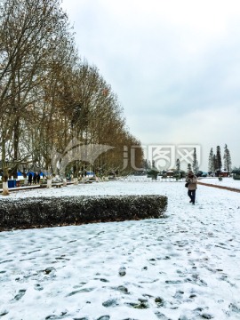 雪景