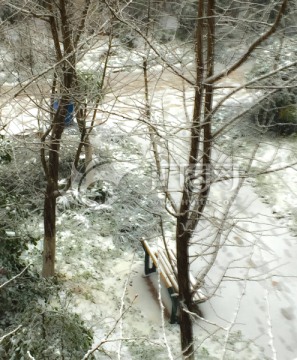 雪景