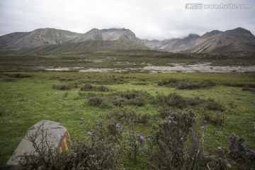 草原风光