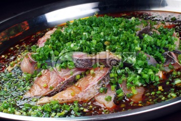 口水魚草魚 花鰱