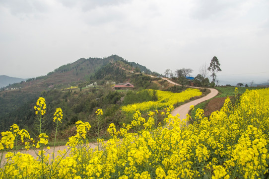 乡村旅游