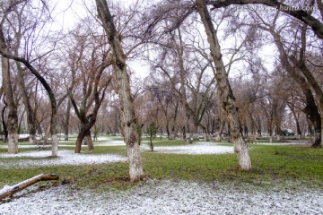 春雪