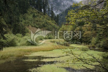 山谷风景