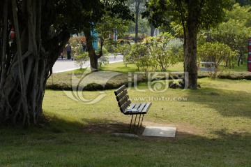 公园大树下的长椅