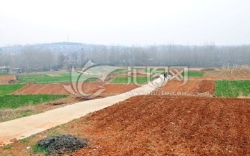 田园风光 田野 田地