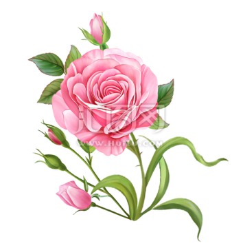 小花
