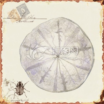 海洋 無(wú)框畫(huà) 裝飾畫(huà) 歐美風(fēng)格