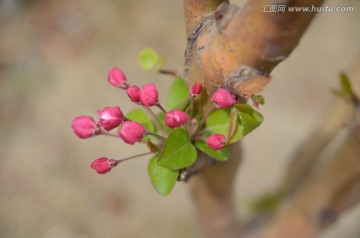 穿暖花开