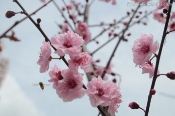 春暖花开