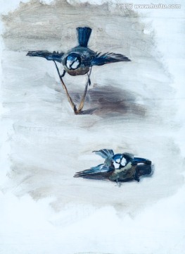 萨金特 两只小鸟油画