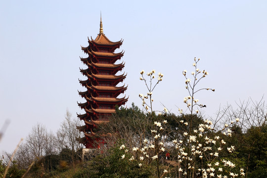 照母山植物园 览星塔