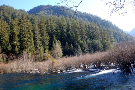 九寨沟 山 树 水 山清水秀