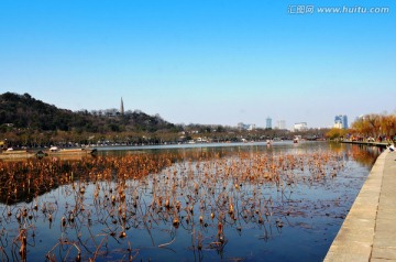 西湖美景