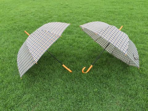 绿草地上的格子雨伞