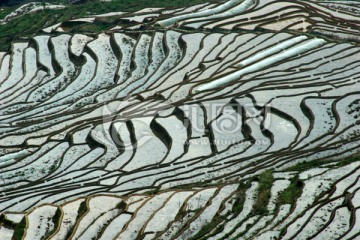 尤溪联合梯田