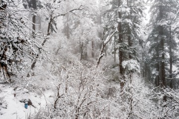 海螺沟雪景