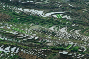 尤溪联合梯田