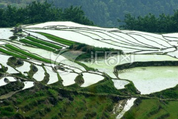 尤溪桂峰梯田