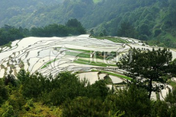 尤溪桂峰梯田