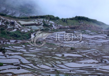 尤溪联合梯田